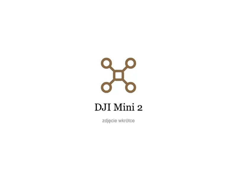 DJI Mini 2 - wynajem Gdańsk